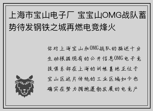上海市宝山电子厂 宝宝山OMG战队蓄势待发钢铁之城再燃电竞烽火